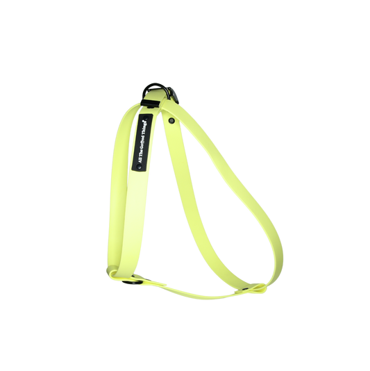 Harness Lemon