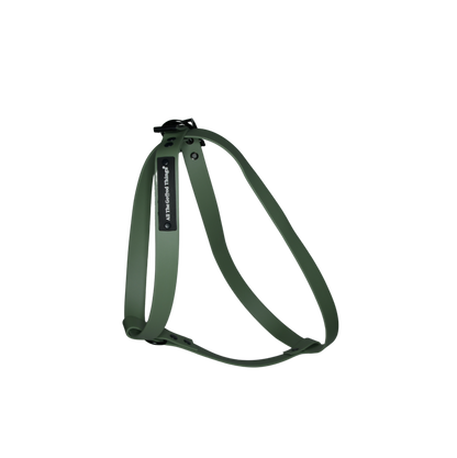 Harness Olive