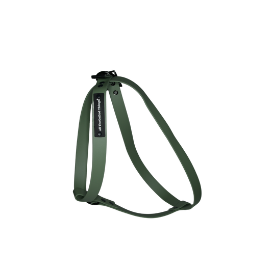 Harness Olive