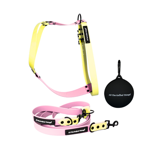 Harness & Leash Set Sunrise