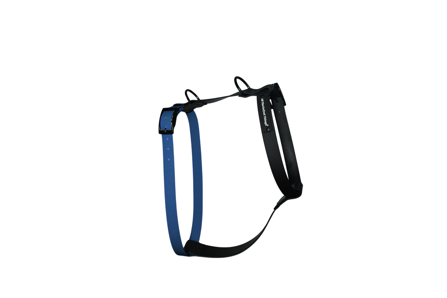 Harness Royal Blue