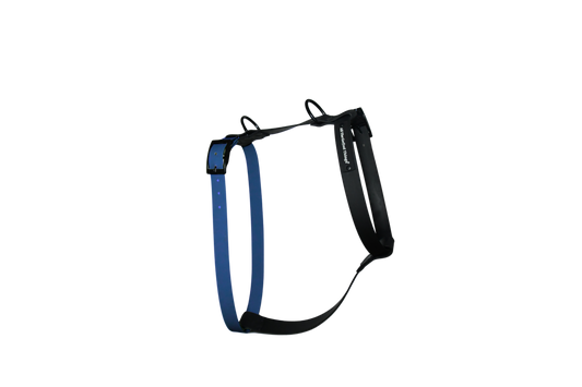 Harness Royal Blue