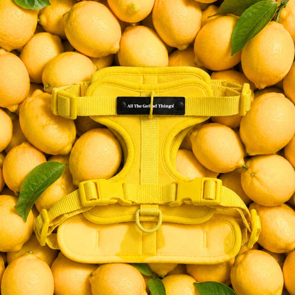 Pop Padded Harness Lemon