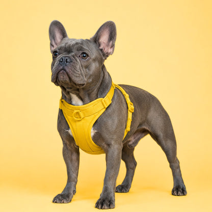 Pop Padded Harness Lemon