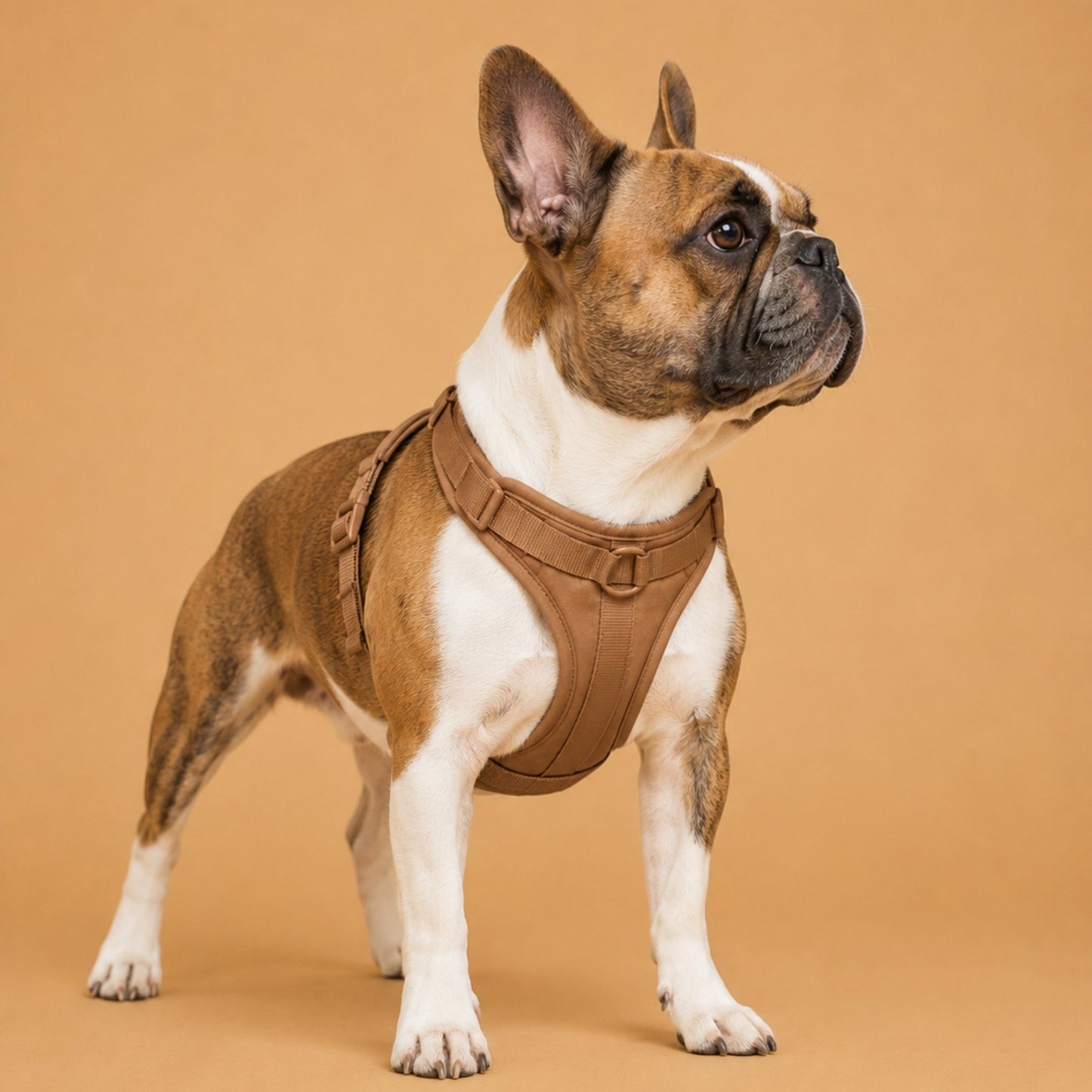 Pop Padded Harness Hazel
