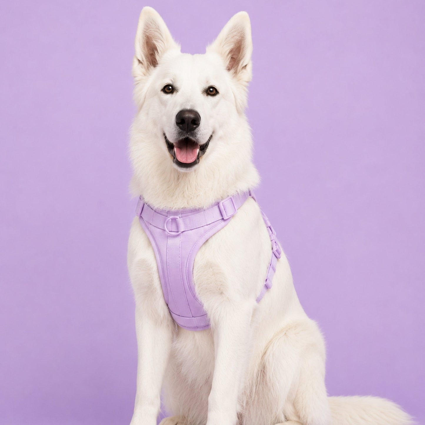 Pop Padded Harness Lavender