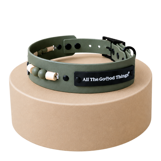 Aura Collar Olive