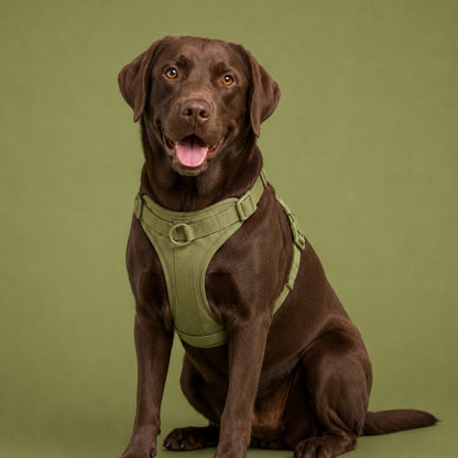 Pop Padded Harness Olive