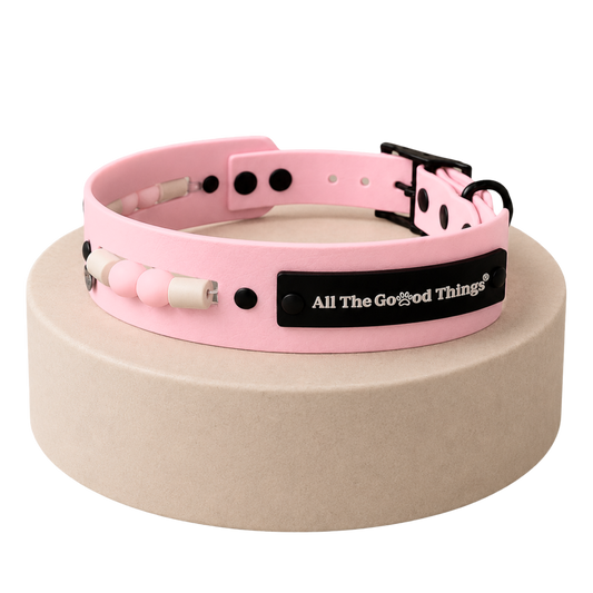 Aura Collar Rose