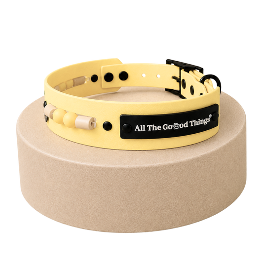Aura Collar Lemon