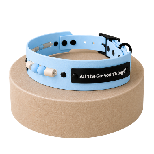Aura Collar Sky