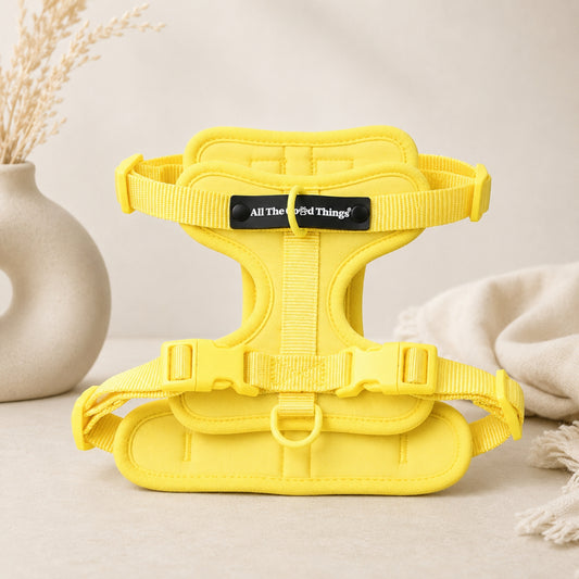 Pop Padded Harness Lemon