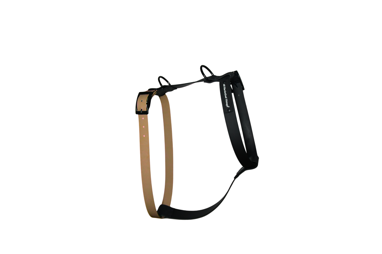 Harness Hazel