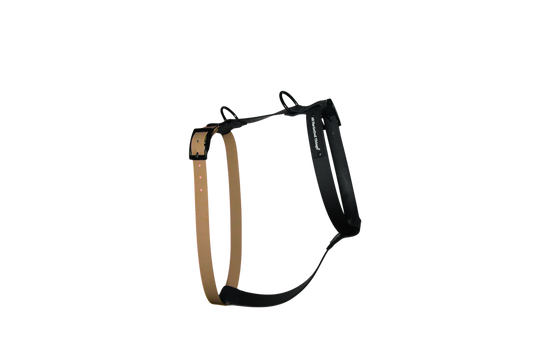 Harness Hazel