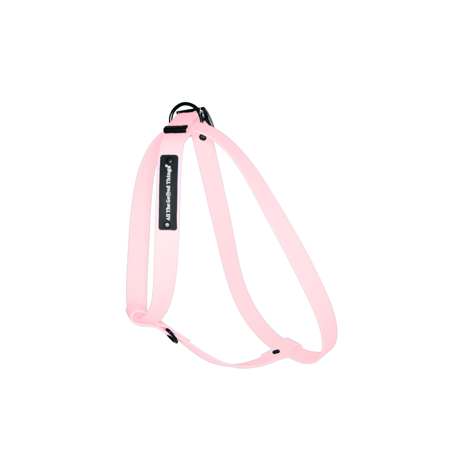 Harness Rose