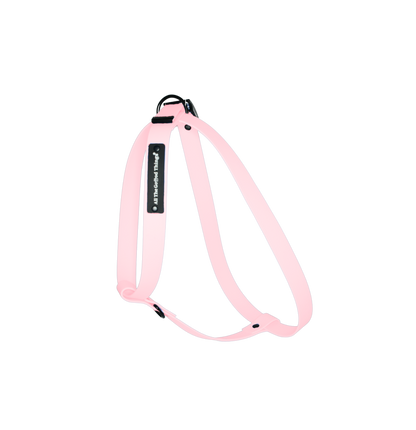 Harness Rose