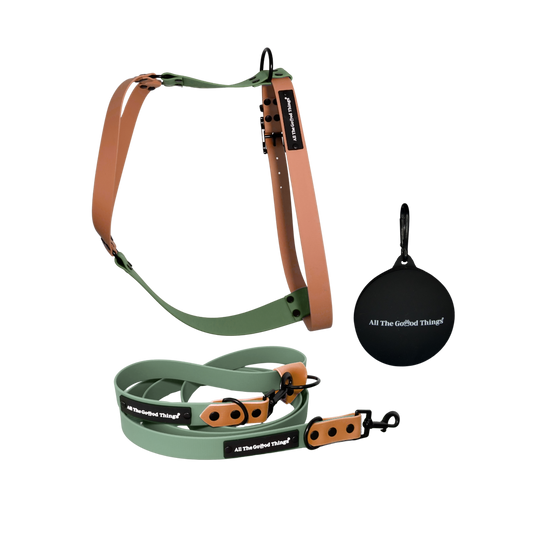 Harness & Leash Set Forest Walk