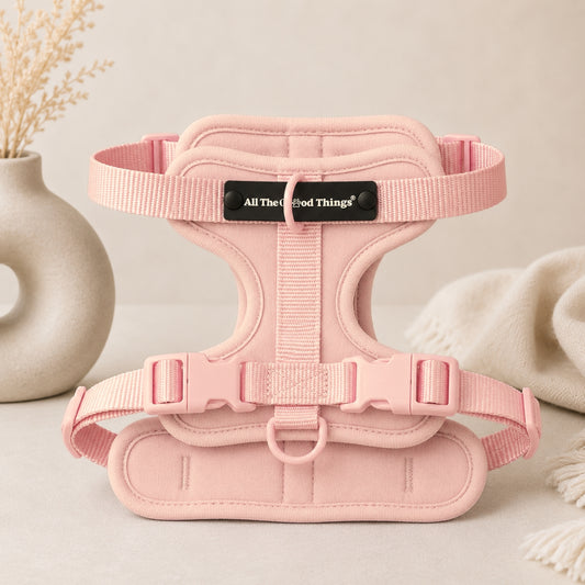 Pop Padded Harness Rose