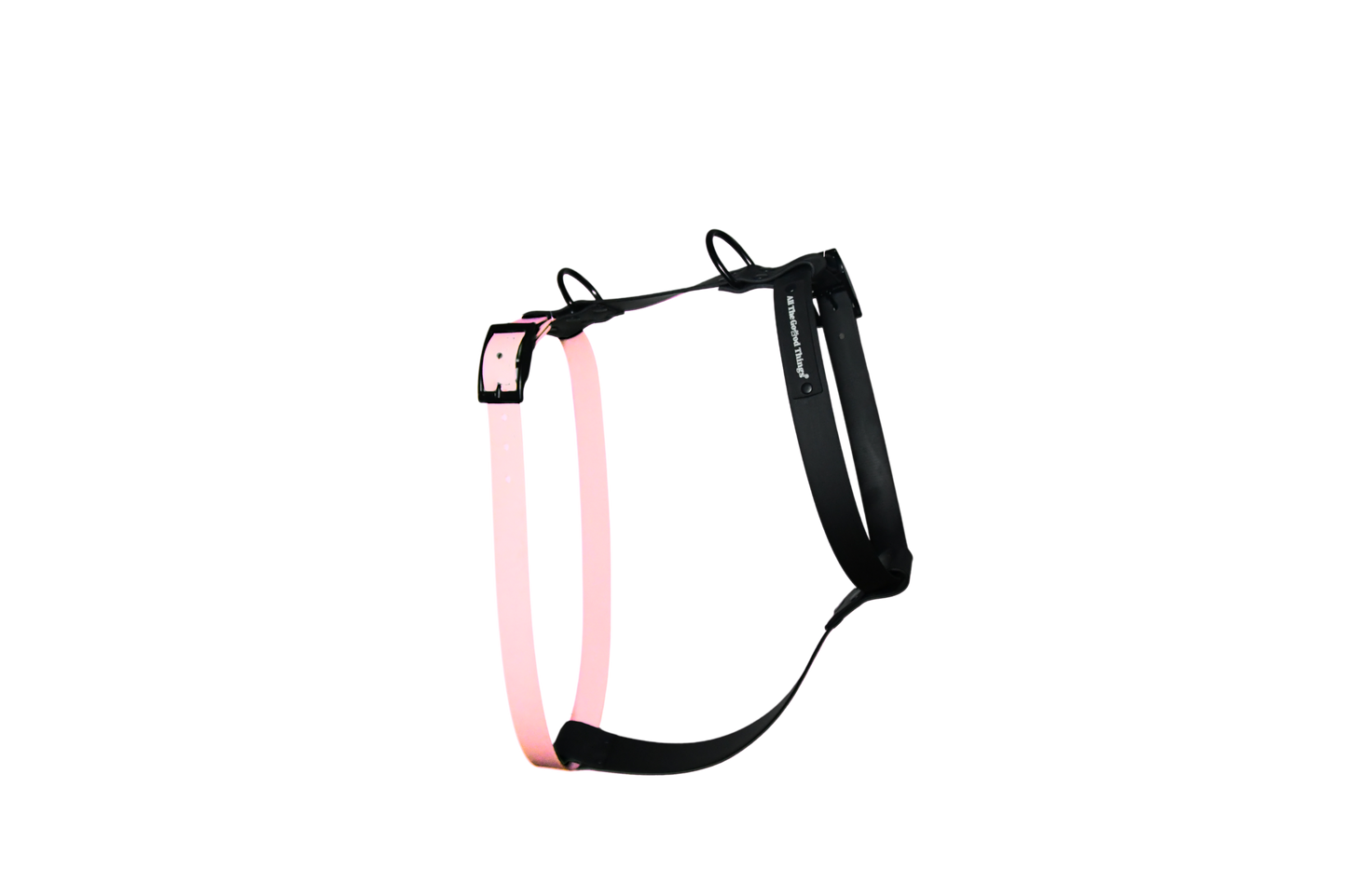 Harness Rose