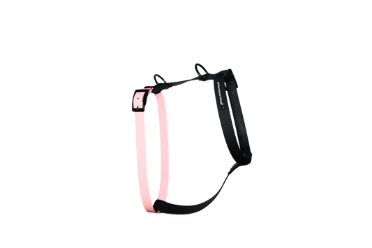 Harness Rose
