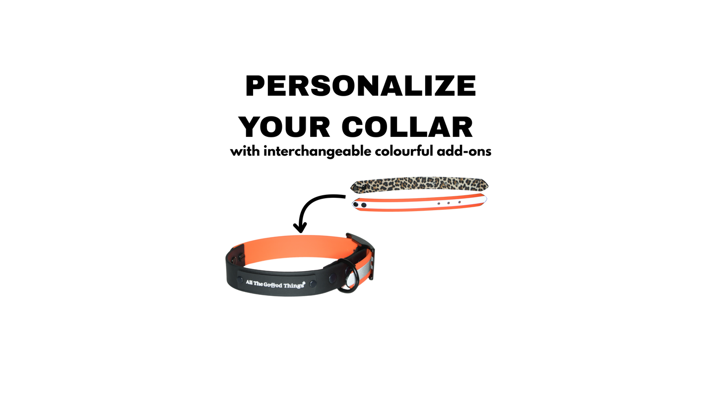 Complete Collar "Black with add-on" Limited Edition