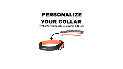 Complete Collar "Black with add-on" Limited Edition