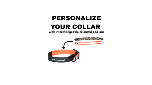 Complete Collar "Black with add-on" Limited Edition