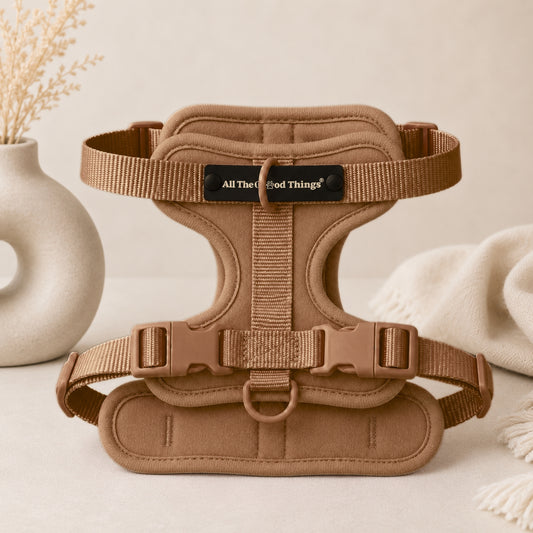 Pop Padded Harness Hazel