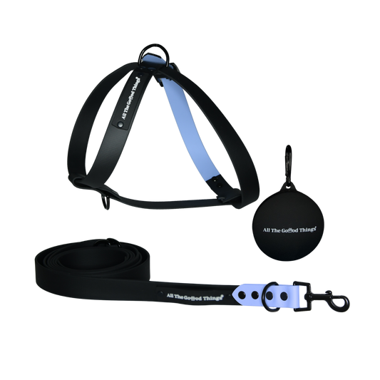 Figure 8 Harness + Leash Set