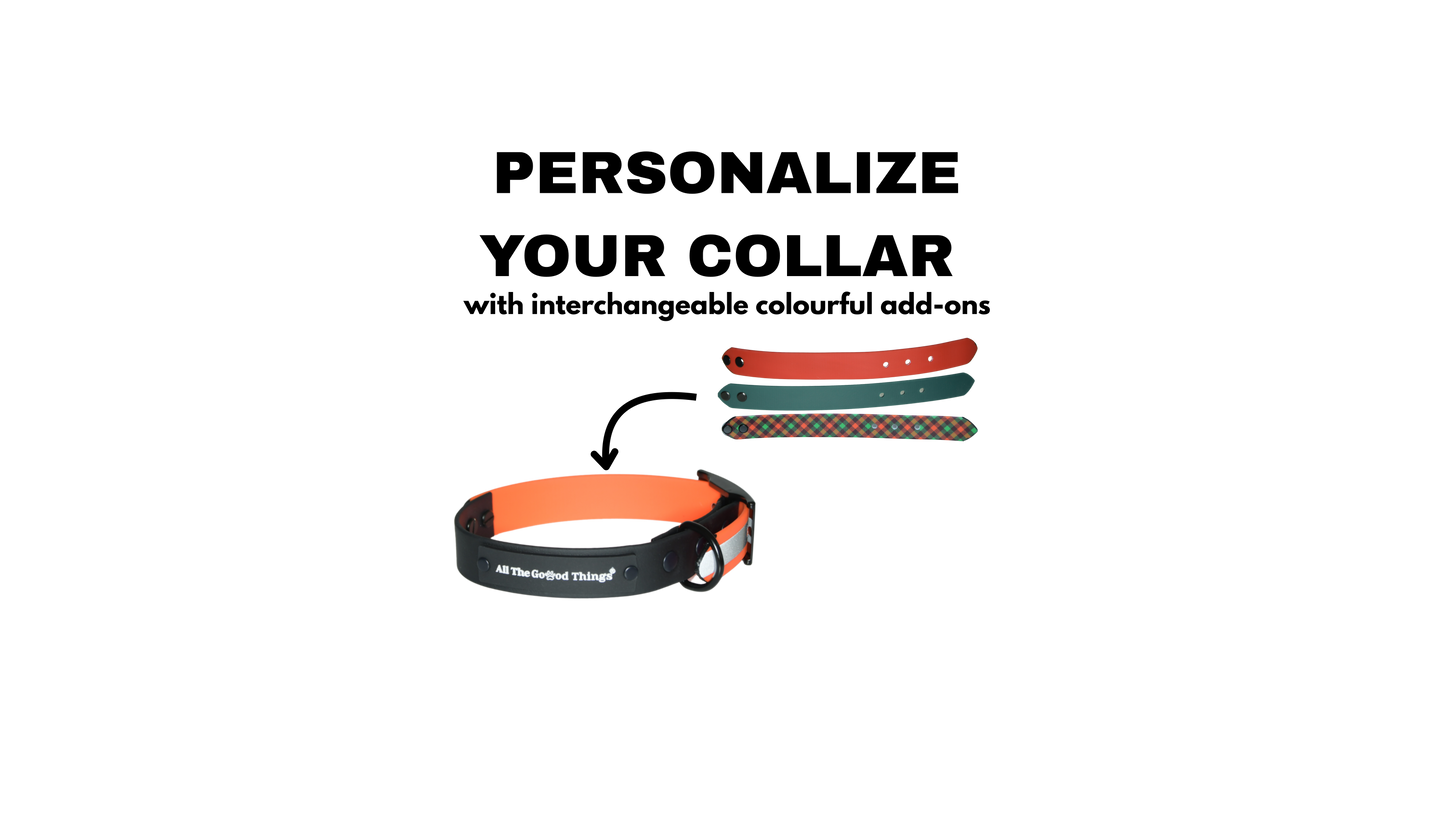 Complete Collar "Black with add-on" Christmas Edition