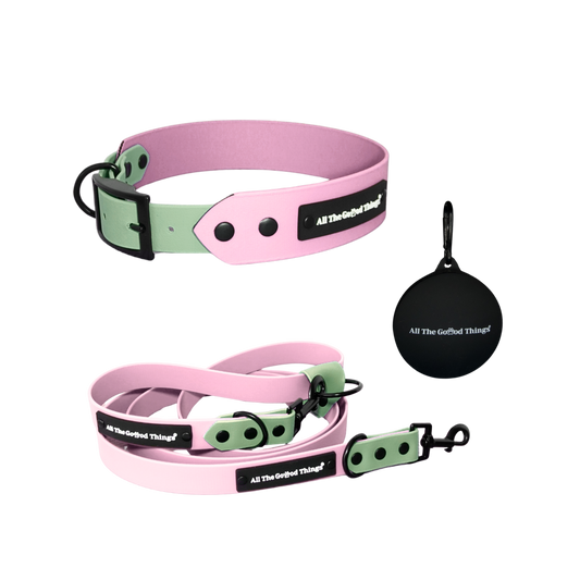 Collar & Leash Set Sakura