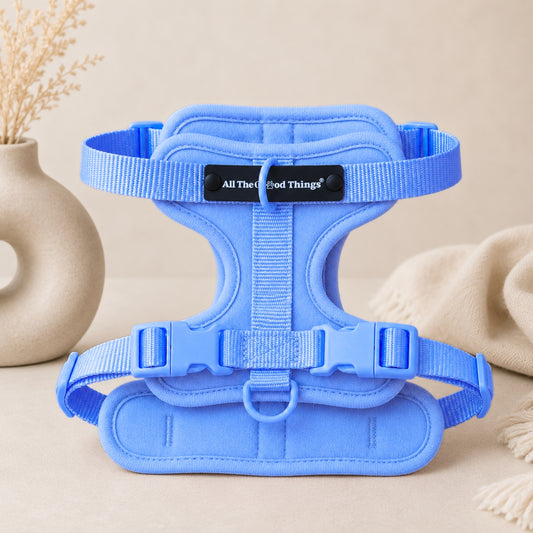 Pop Padded Harness Sky