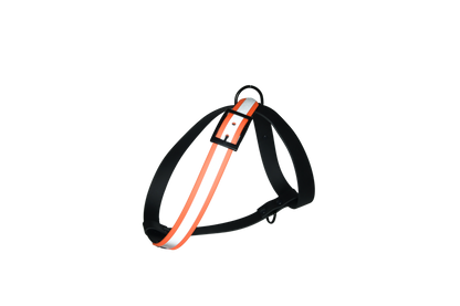 Complete Harness "Black with add-on" Limited Edition