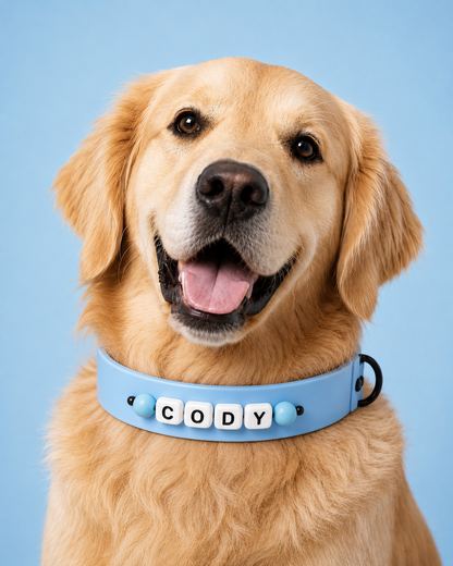 Aura Signature Collar - Sky