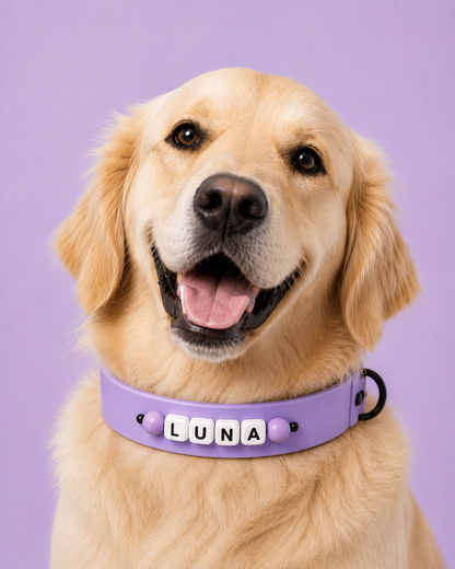 Aura Signature Collar - Lavender