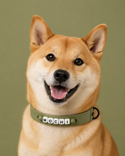 Aura Signature Collar - Olive