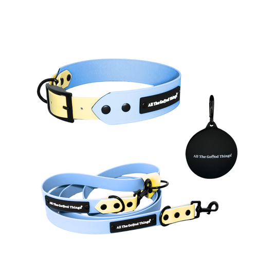 Collar & Leash Set Stockholm
