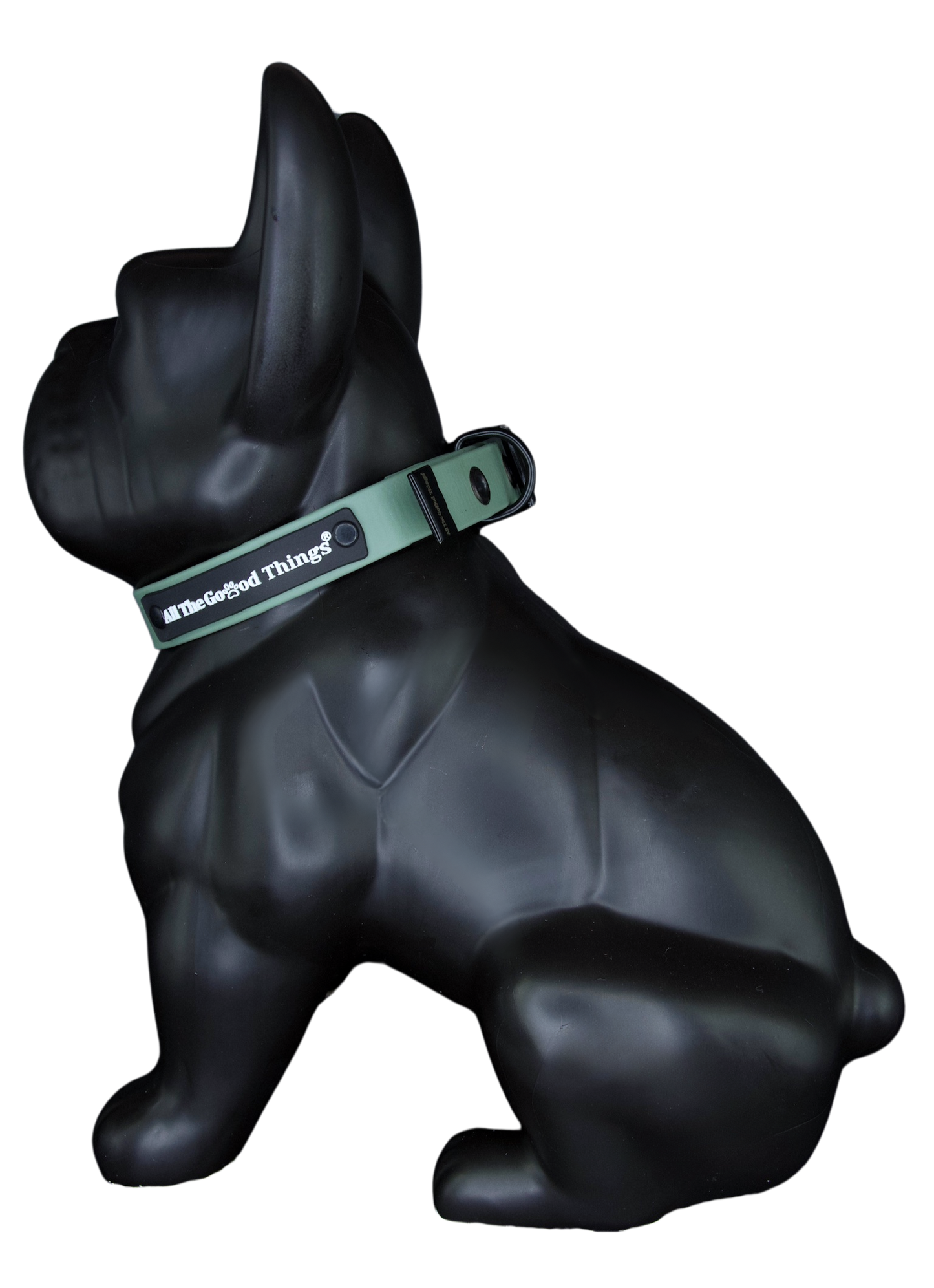 Collar Olive 1