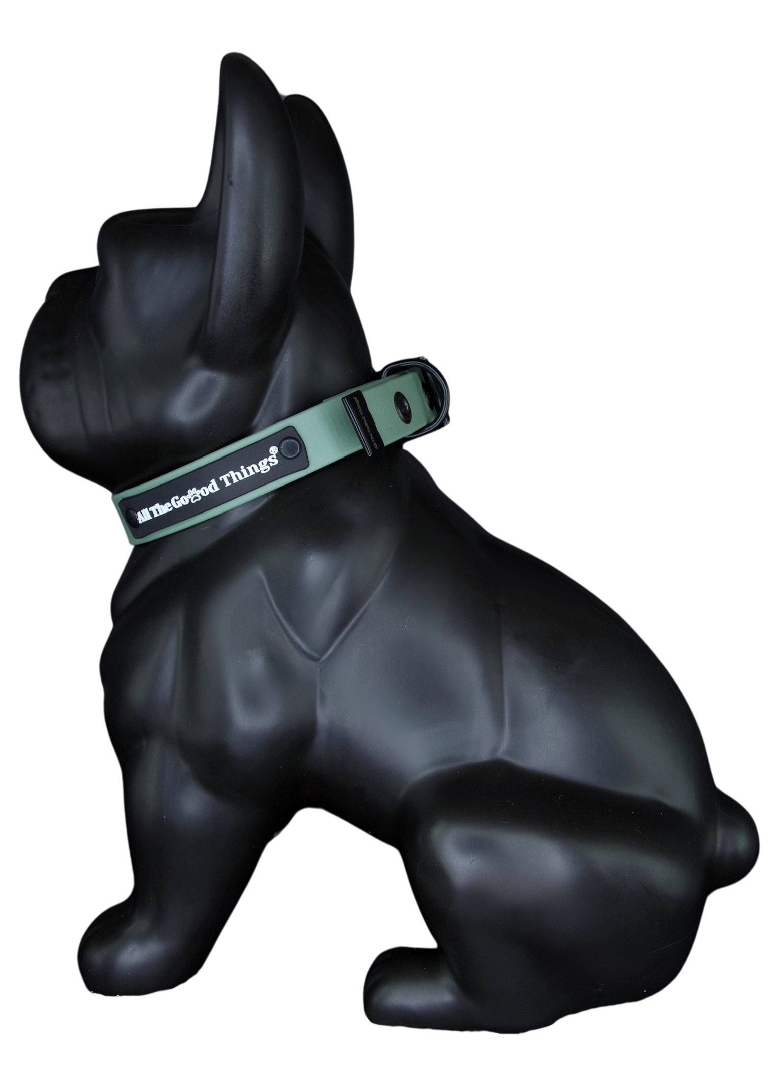 Collar Olive 1