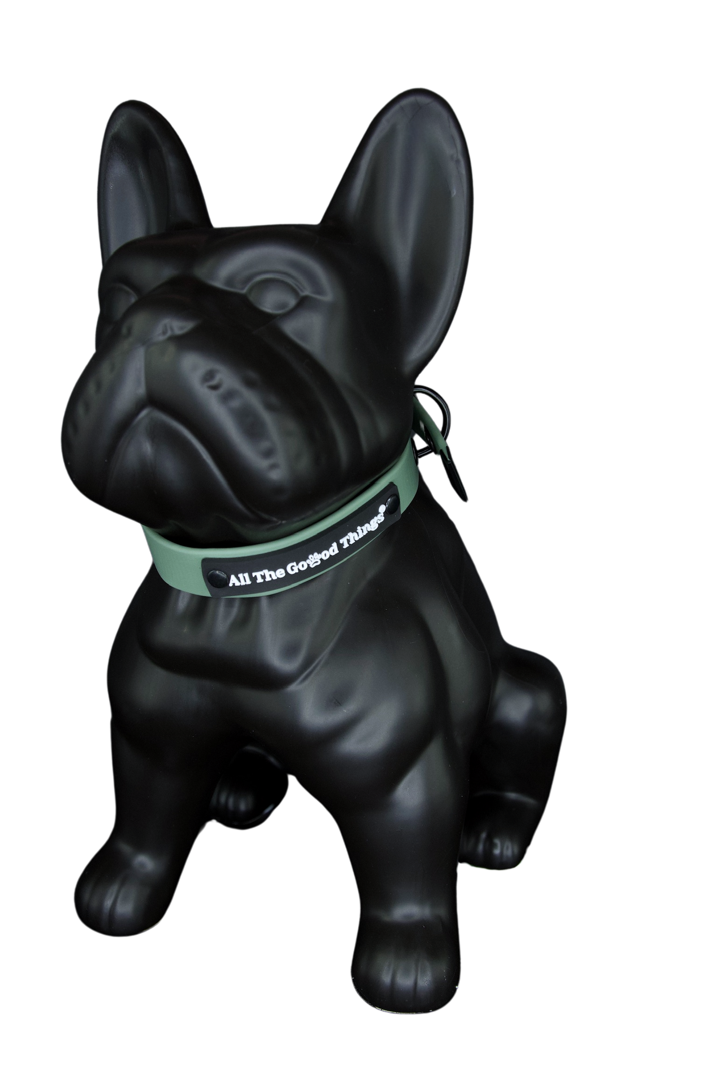 Collar Olive 3