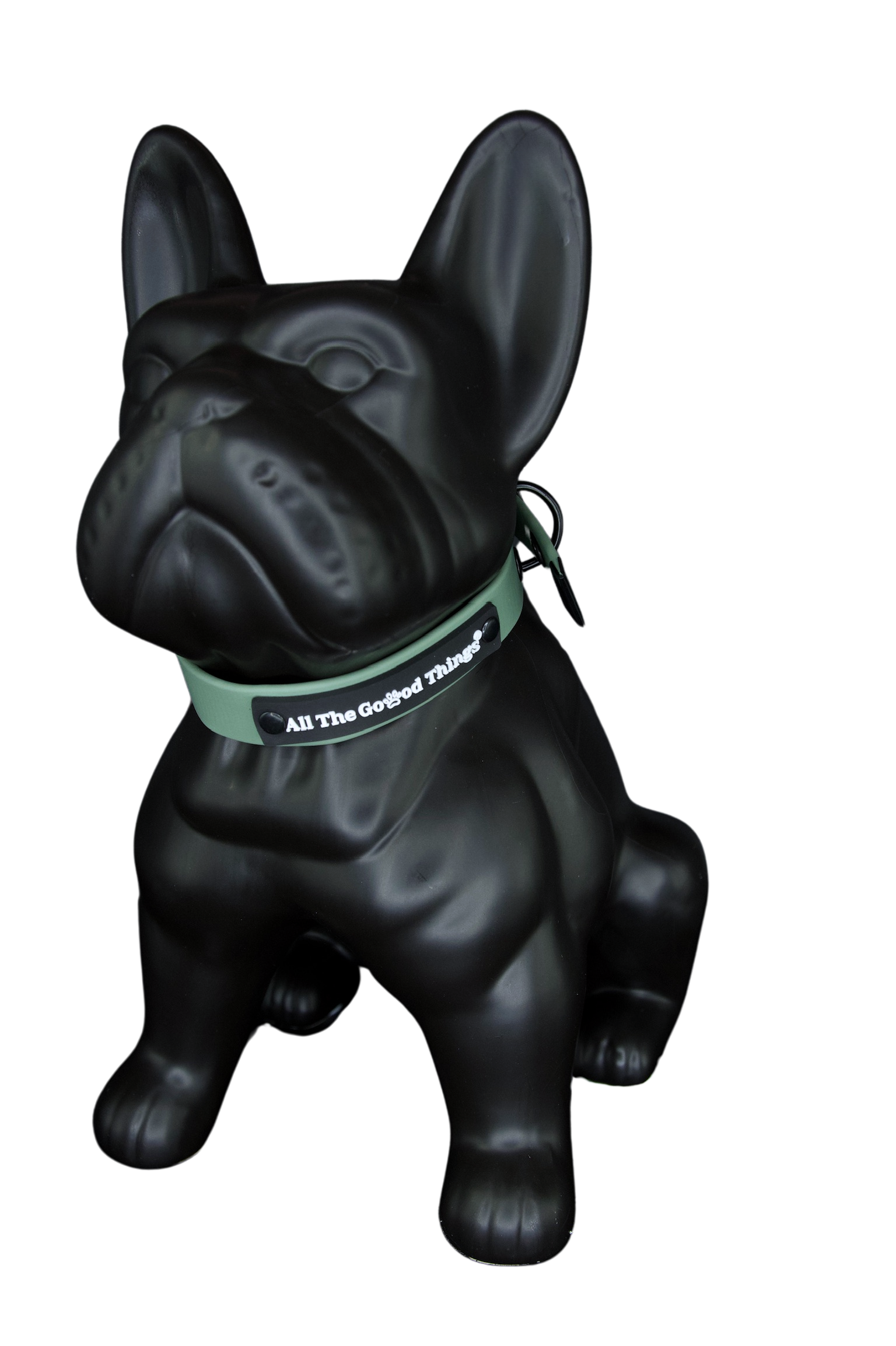 Collar Olive 3