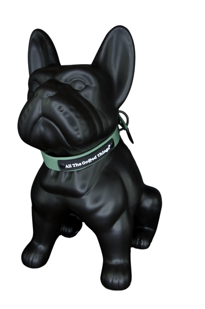 Collar Olive 3