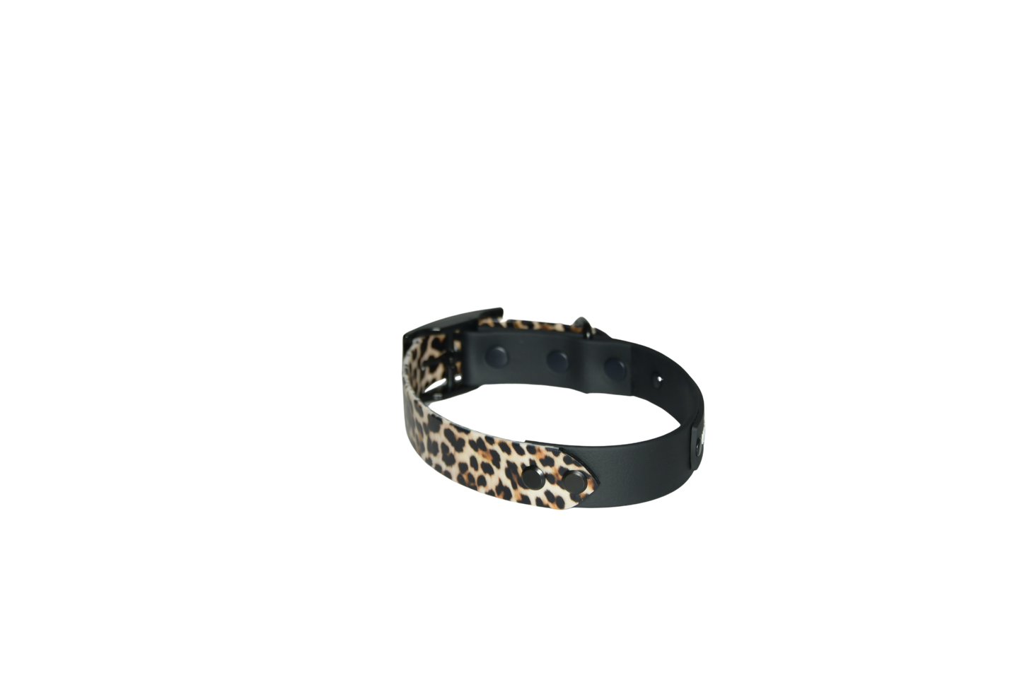 Complete Collar "Black with add-on" Limited Edition