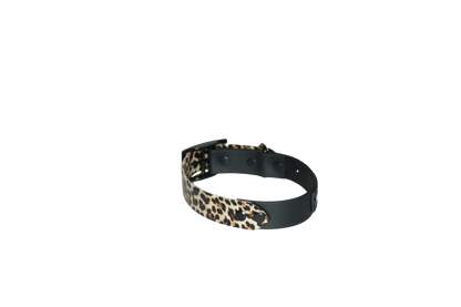 Complete Collar "Black with add-on" Limited Edition