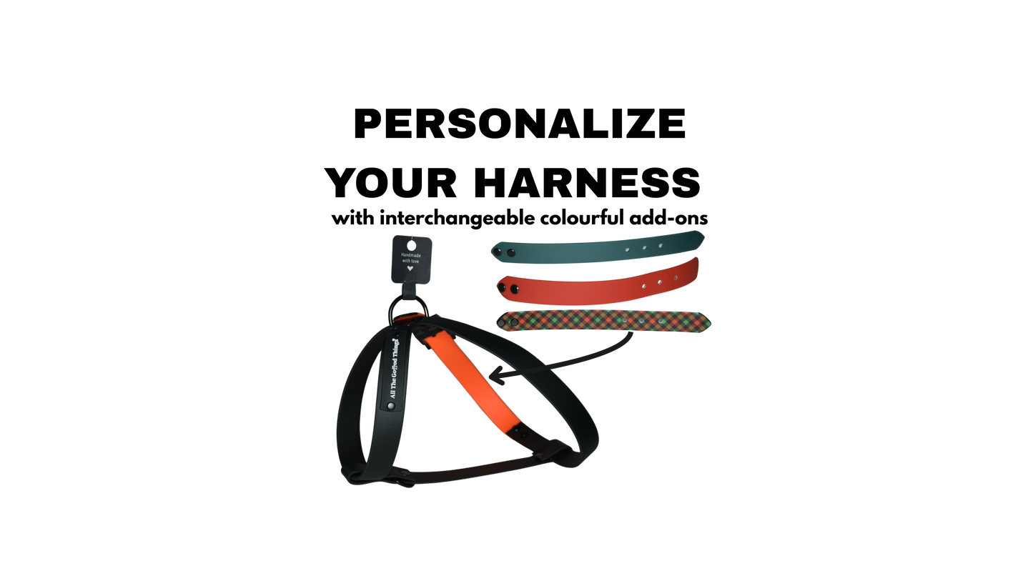 Complete Harness "Black with add-on" Christmas Edition
