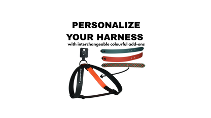 Complete Harness "Black with add-on" Christmas Edition