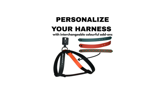 Complete Harness "Black with add-on" Christmas Edition