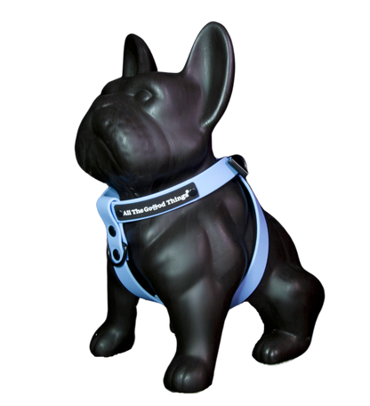 Harness Sky
