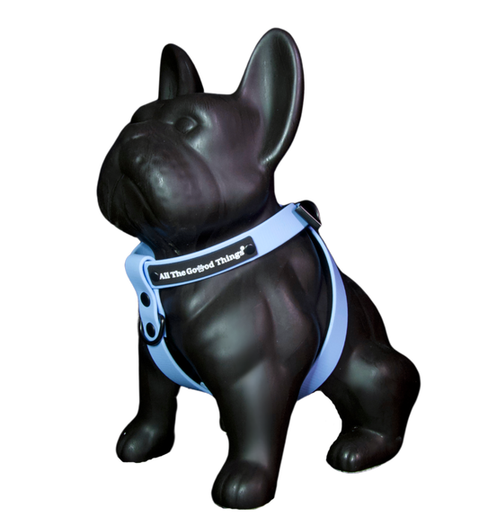 Harness Sky