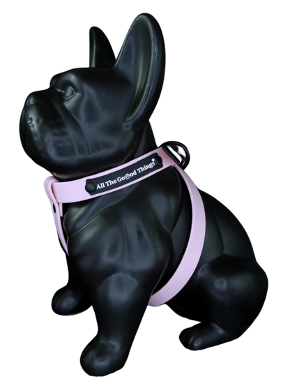Full set "Harness" Rose